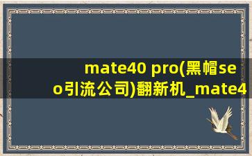mate40 pro(黑帽seo引流公司)翻新机_mate40 pro(黑帽seo引流公司)还有货吗